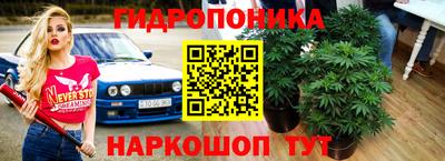 jwh Будённовск
