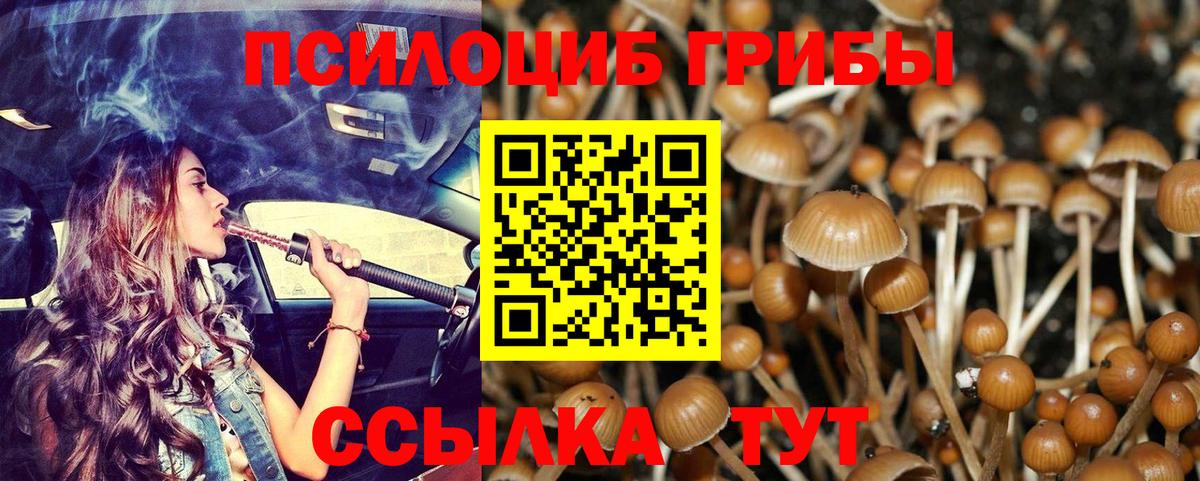 Псилоцибиновые грибы GOLDEN TEACHER Кулебаки
