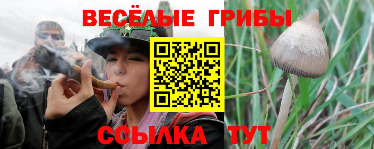 Галлюциногенные грибы Psilocybe  Вход с VPN  Псилоцибиновые грибы мухоморы  Кулебаки 
